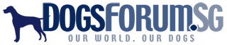 Dogsforum.sg