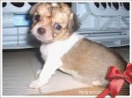 0509_20.jpg