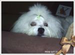 0509_b38.jpg