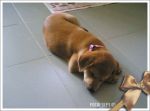 0509_b49.jpg