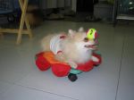 IMG_0553a.JPG