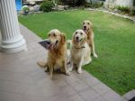DSC00025 resize.JPG