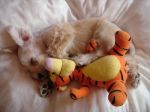DSC02661.jpg