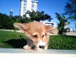 IMG0061A.jpg