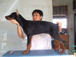 Igor3,5m1.JPG