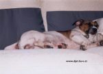 laze018.jpg