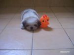 Picture 025.jpg