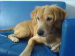 pink.jpg