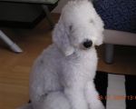 DSCN1022.JPG
