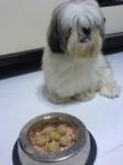 DSC00930.jpg