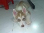 10062006015.jpg
