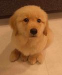 Buddy2_EL.jpg