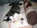 same size n e pillow .jpg