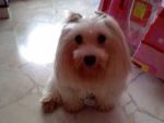 xue innocent look.jpg