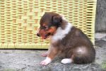 cs_DSC_3569.jpg