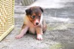 cs_DSC_3572.jpg