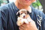 cs_DSC_3590.jpg